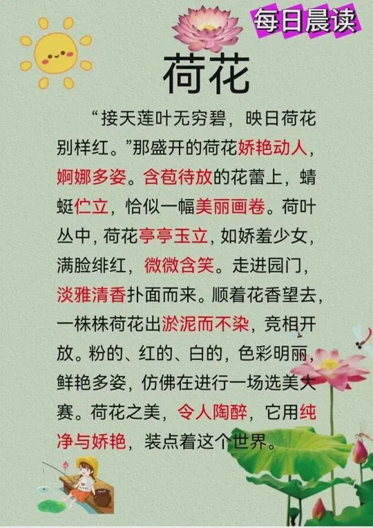 夏日荷塘里的宁静时光！