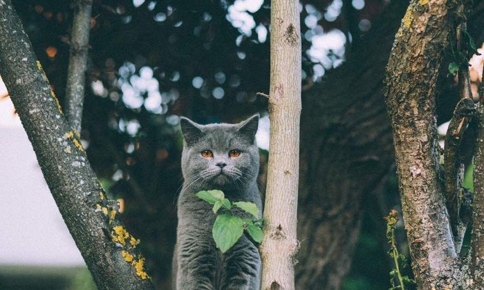 风吹散的情话终究沙哑！