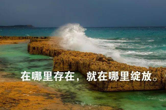 那些藏在日常里的温柔，才最动人心！