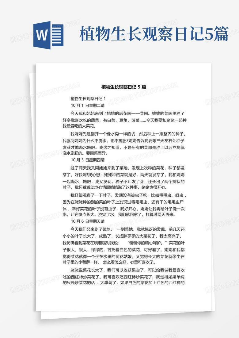 我跟葱学会了“安静地活着”？