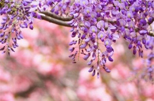 那些在瞬间点亮心房的快手情话? 那些在瞬间点亮心房的快手情话?