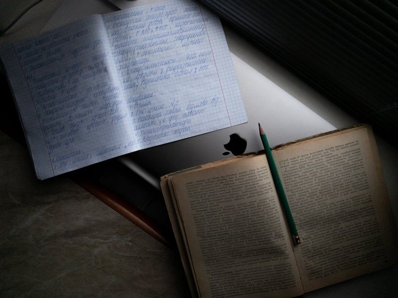 笔尖下的真实—我的日记碎片