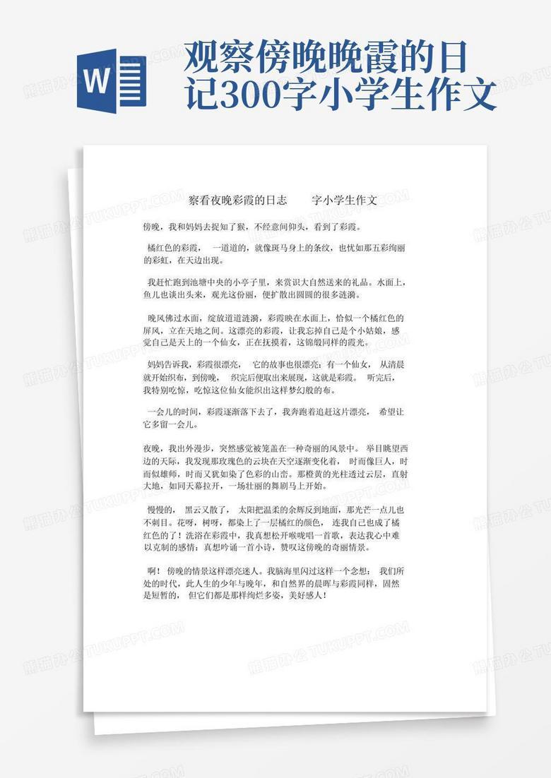 午后的观察日记·蝉鸣声中的城市微风