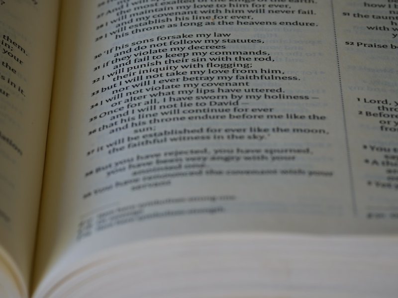 今天天气真好，阳光洒在身上暖暖的…