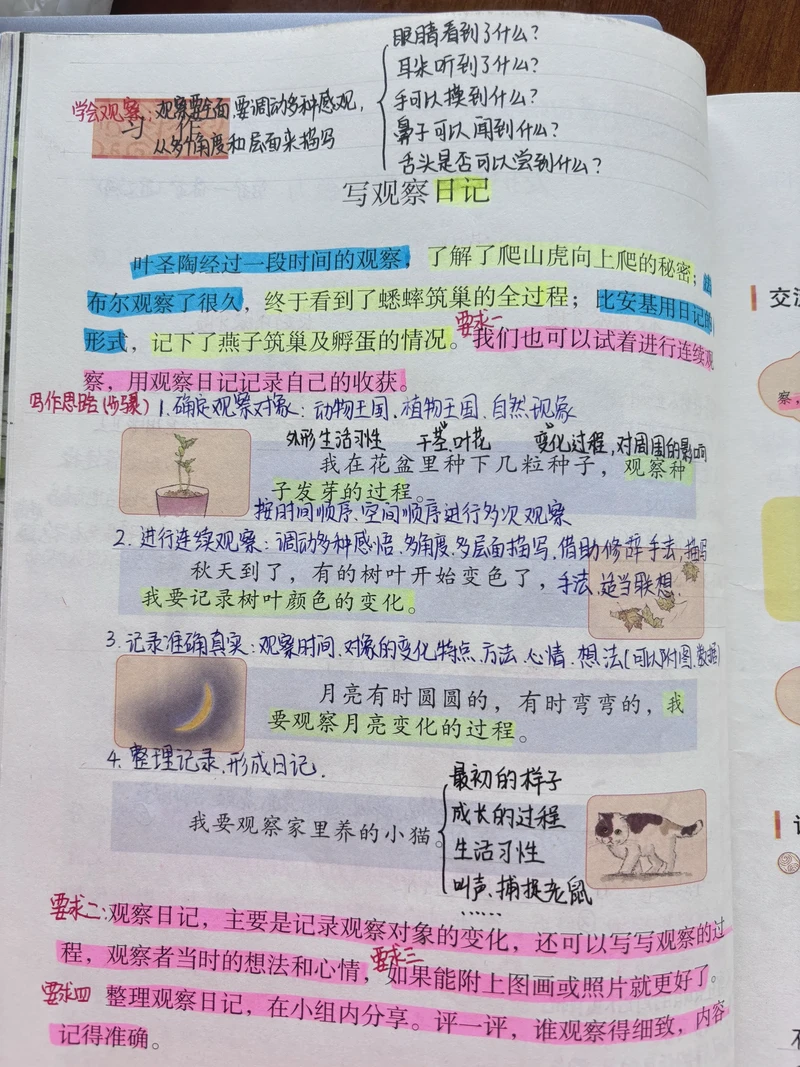 周三的观察｜关于拥挤的地铁、温热的豆浆，和路边那朵倔强的野花