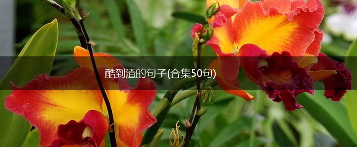 掉渣也要有底线的温柔 掉渣也要有底线的温柔