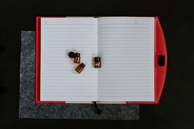 螳螂的清晨丨一只虫子的清醒时刻