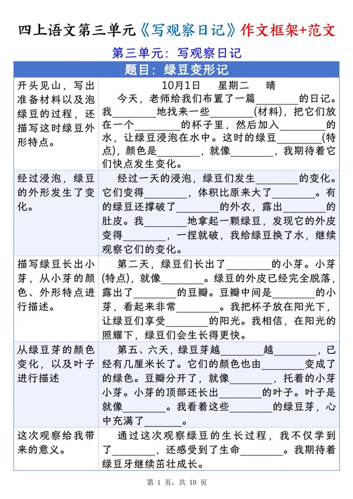 绿豆苗长高了，我每天都在看它…