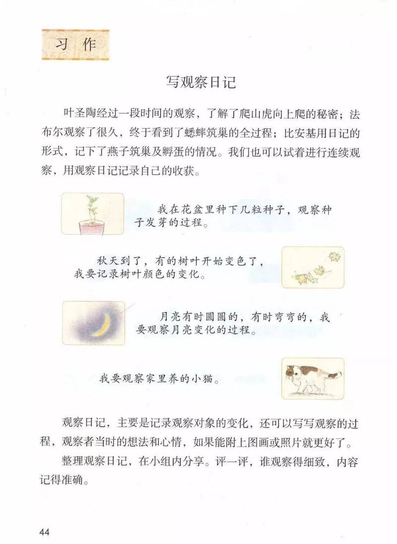 小葱日记｜它又偷偷长高了