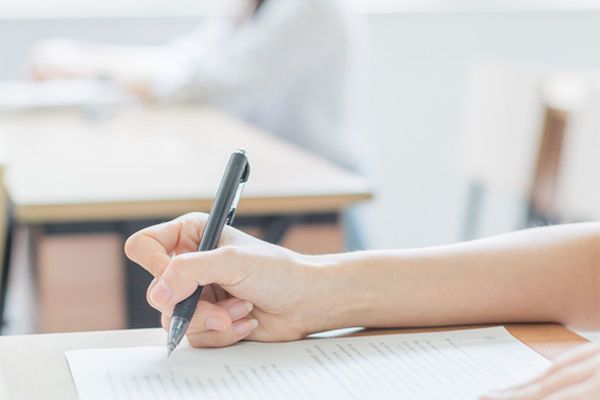 今日观察丨街角的猫