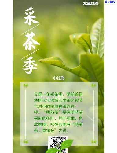 情话轻吟，爱意绵绵·—小情话撩人短句集