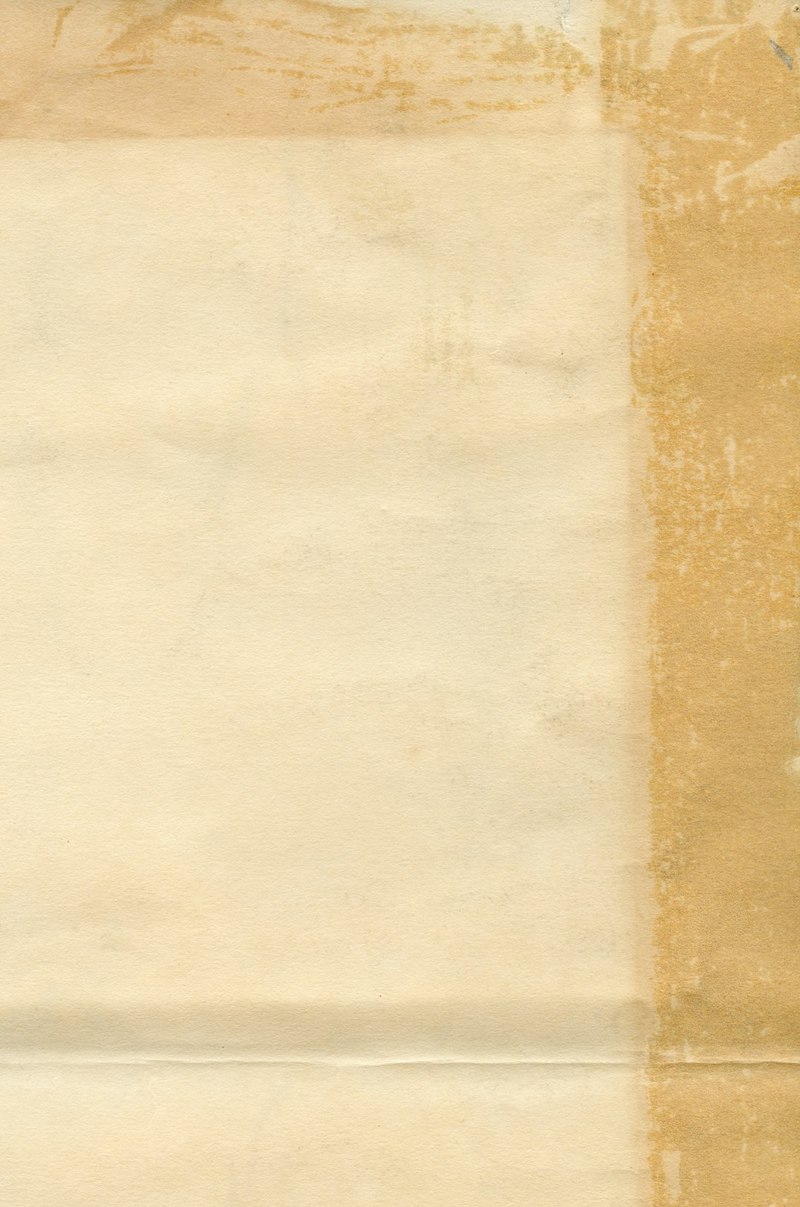 初一观察日记丨校园角落里的“橘将军”与我的新学期 初一观察日记丨校园角落里的“橘将军”与我的新学期