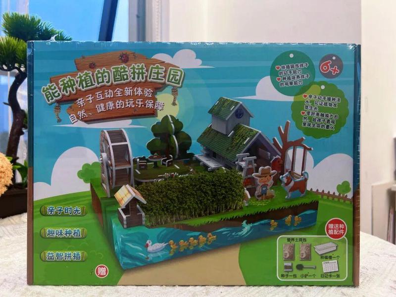 阳台上的“石头”与一只倔强的蚂蚁…