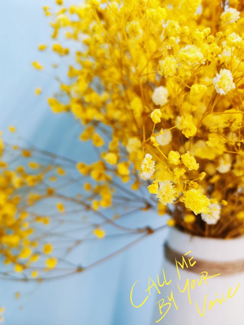 满天星情话｜那些藏在夜空里的温柔告白