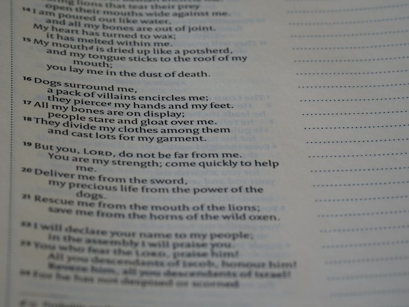 今天，我和英语的“亲密接触”！