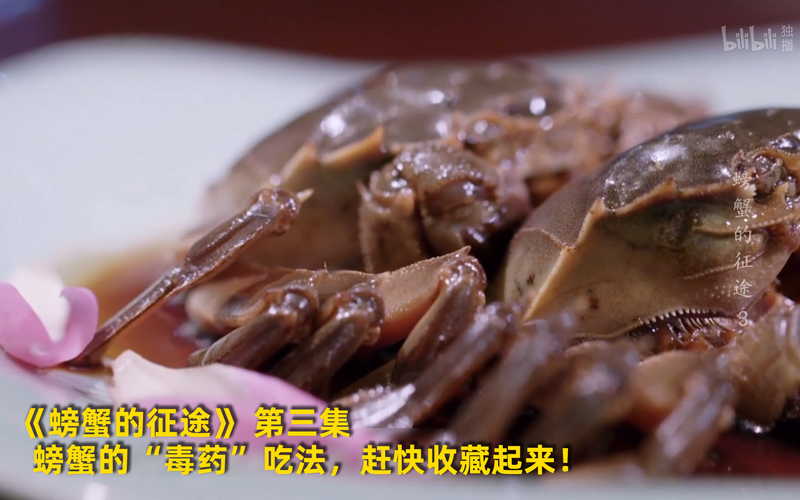 海边的小霸王·—观察螃蟹日记