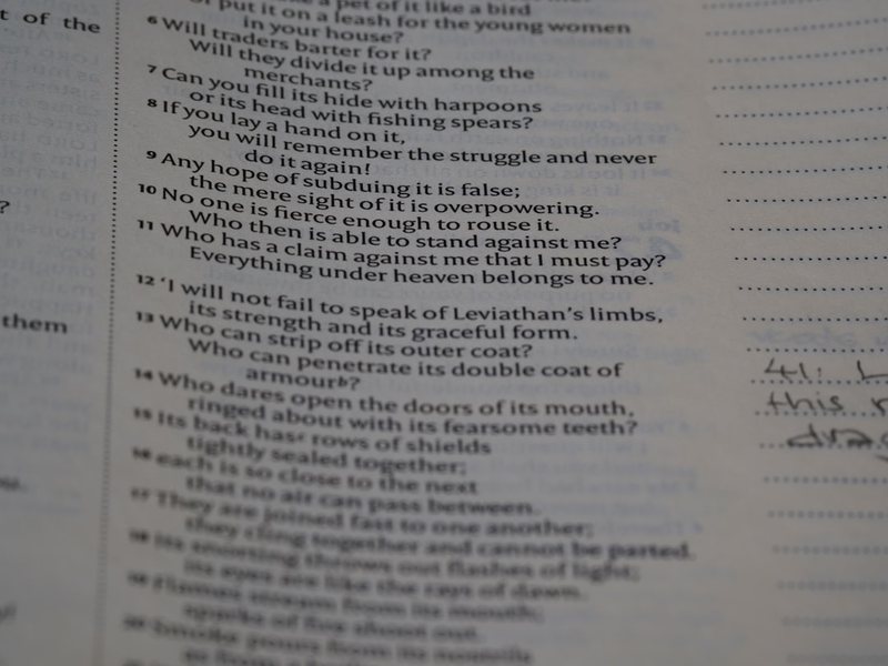 英语情话100条｜浪漫爱情的真挚时刻