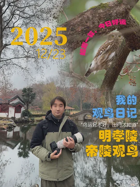 今天，我学到了孝道的真谛…