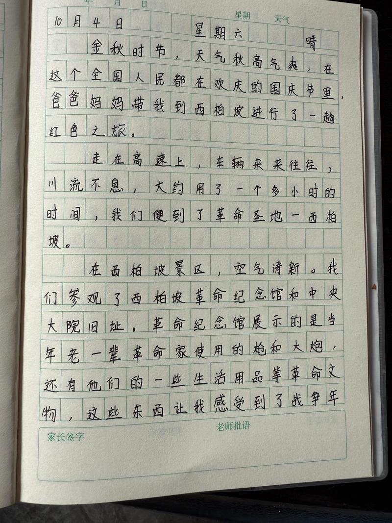 运动会的精彩瞬间? 运动会的精彩瞬间?