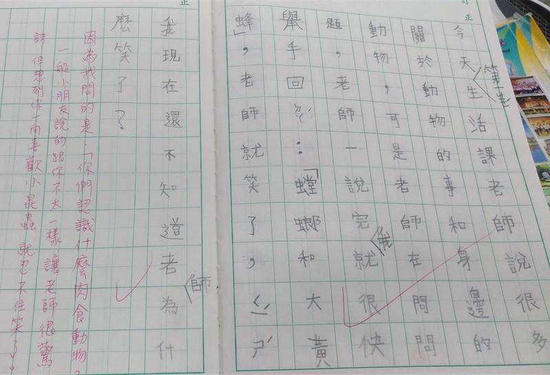 被一只大橘猫“耍”了的午后？