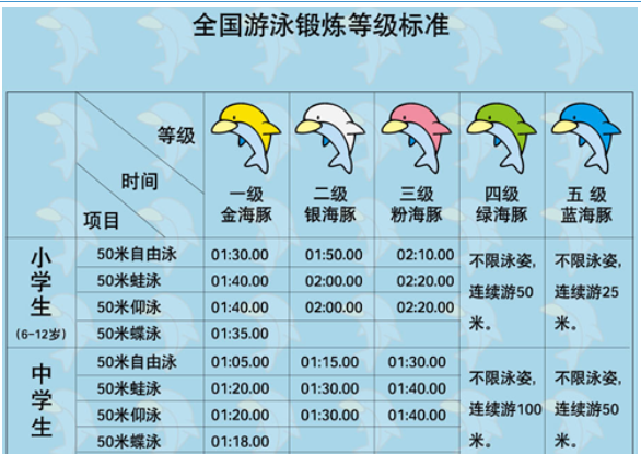 二年级游泳日记·水中的小探险 二年级游泳日记·水中的小探险