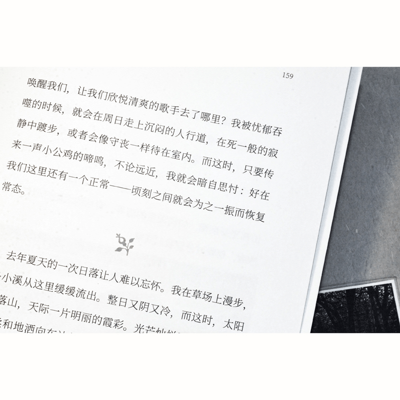 今天读梭罗日记，被一只松鼠治愈了！