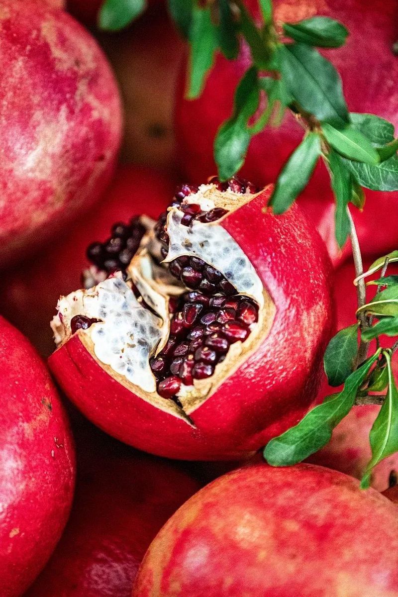 石榴开了花？我差点以为是错觉？