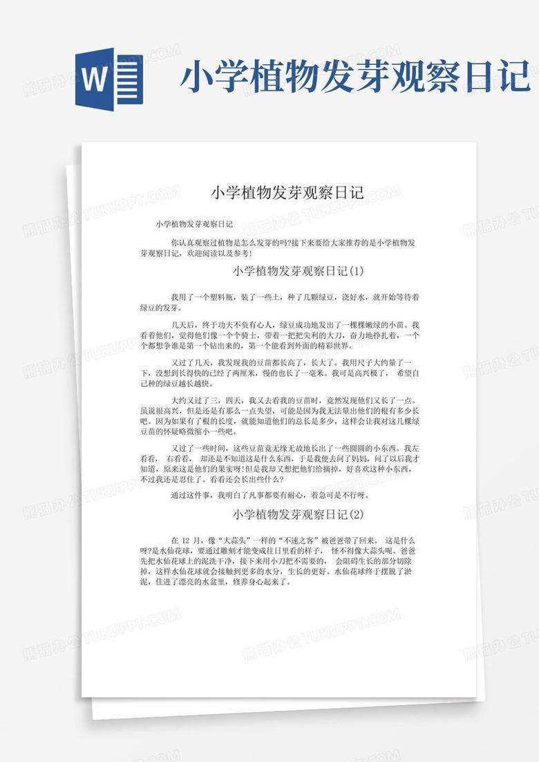 一朵花的启示 一朵花的启示