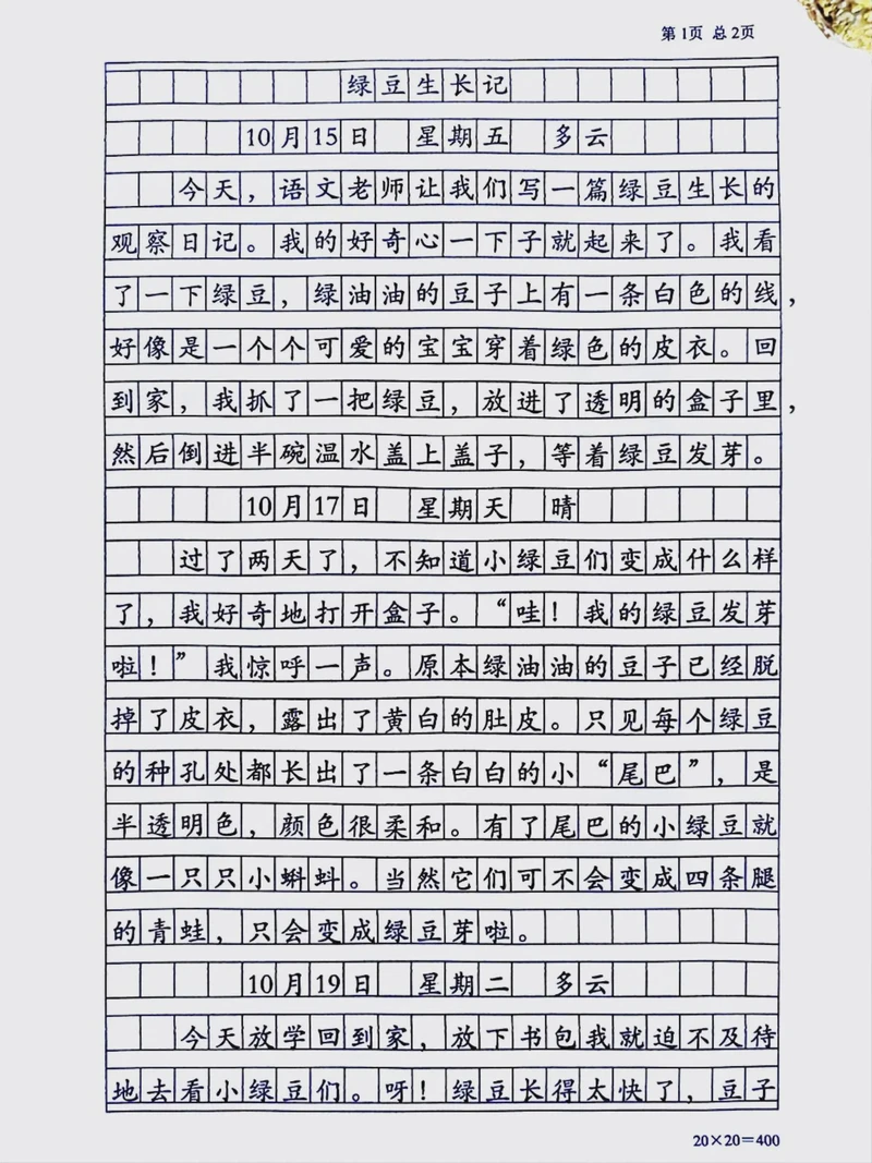 倔强的小草在墙缝里发芽了…