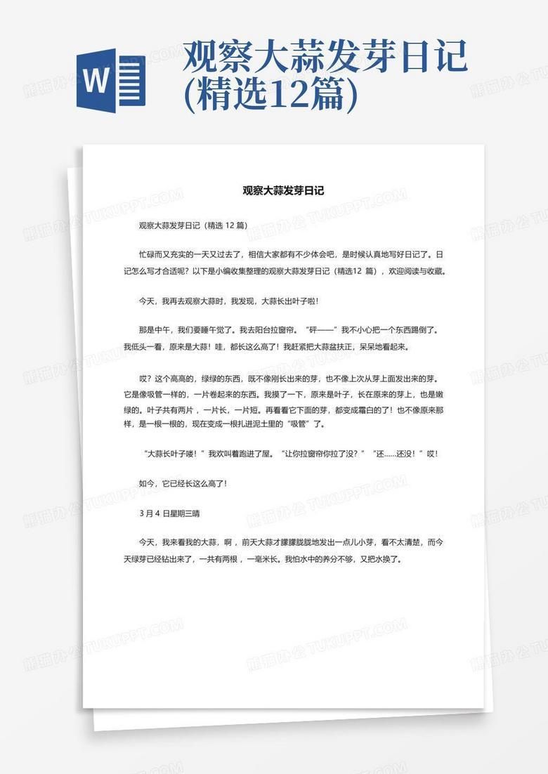 我与香菜的一次偶遇…