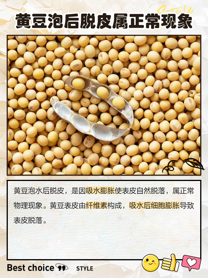 泡黄豆的观察日记7则？