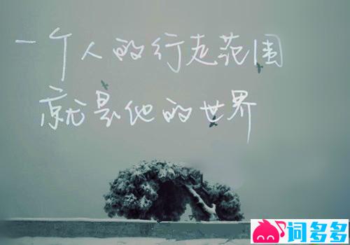 情话短句系:那些藏在日常里的温柔 情话短句系:那些藏在日常里的温柔