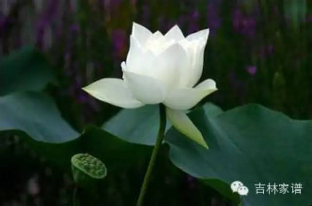 字里行间的爱恋，顺着读是情，倒着读是缘？