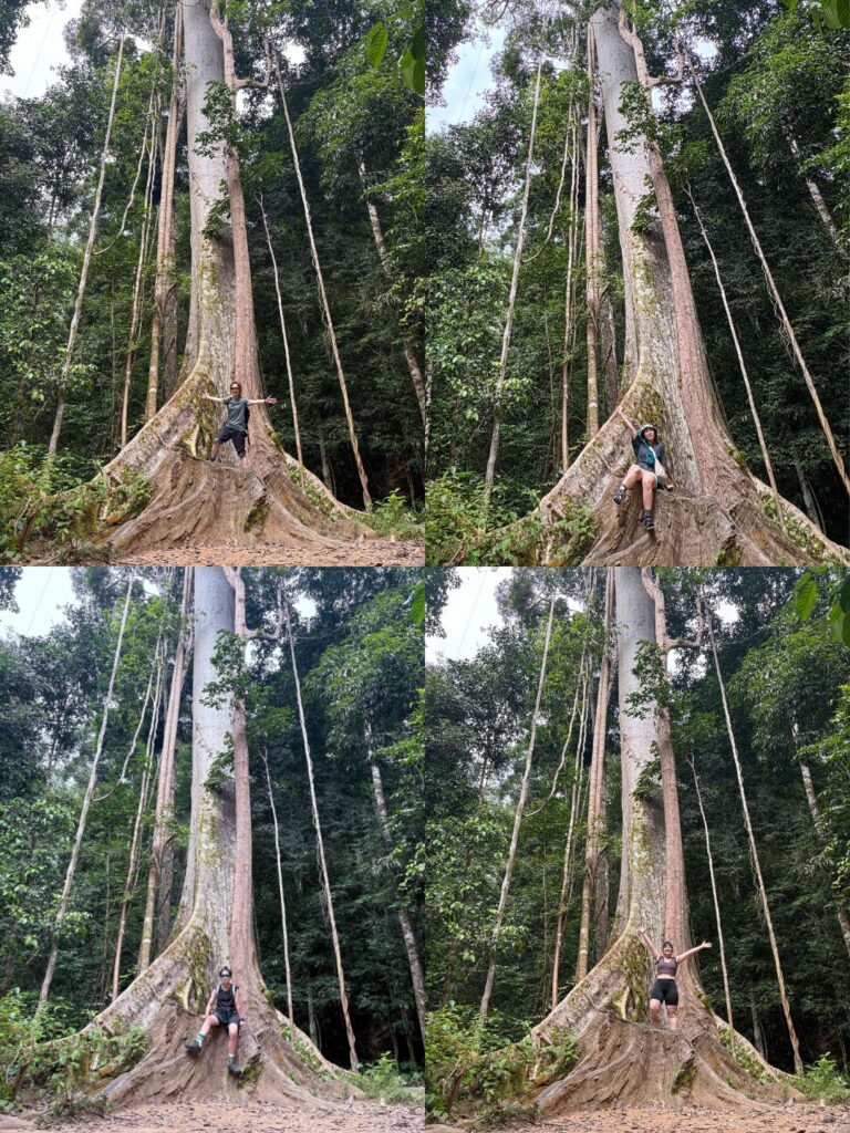 吊桥公园｜心灵的避风港