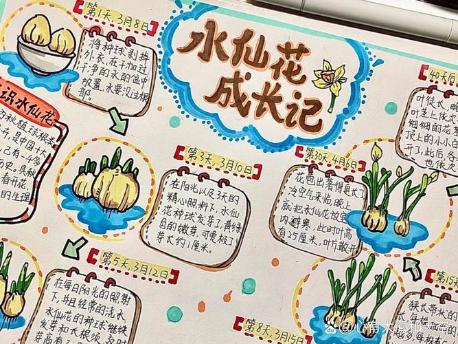 水仙花的微笑日记？