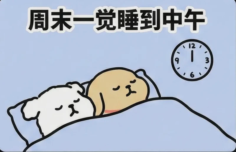 今天，我与小狗的甜蜜邂逅！