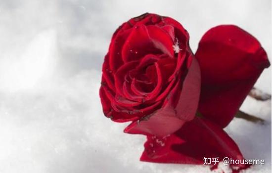 那些让人心碎的绝情话丨男人口中的冰冷的真相 那些让人心碎的绝情话丨男人口中的冰冷的真相