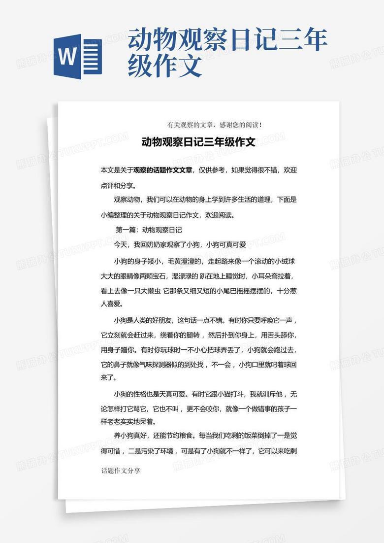 小家伙的神秘日常…