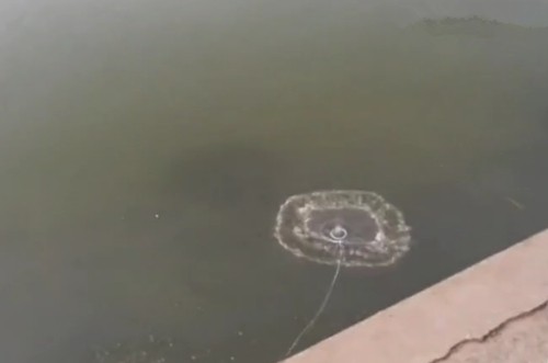 河边钓鱼的日记丨鱼儿和我的小秘密