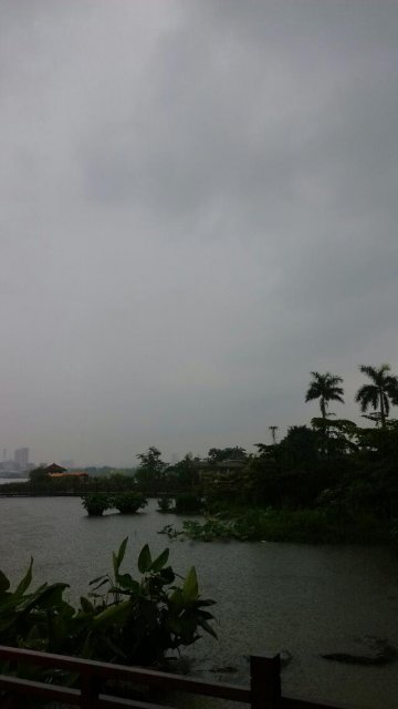 今天我—生活中的小确幸