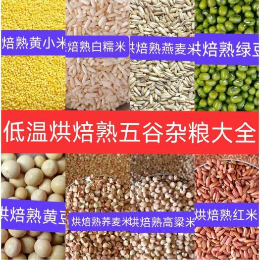 绿豆芽的生长日记丨从种子到绿意盎然