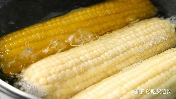 玉米的甜蜜时光？