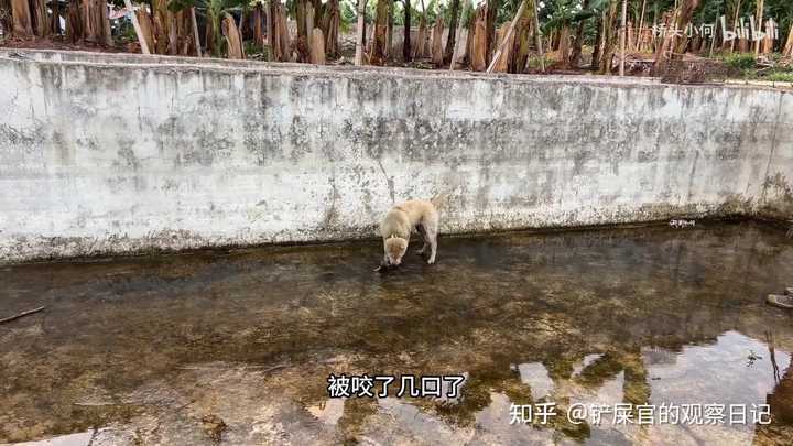 猫在窗台上的五分钟！