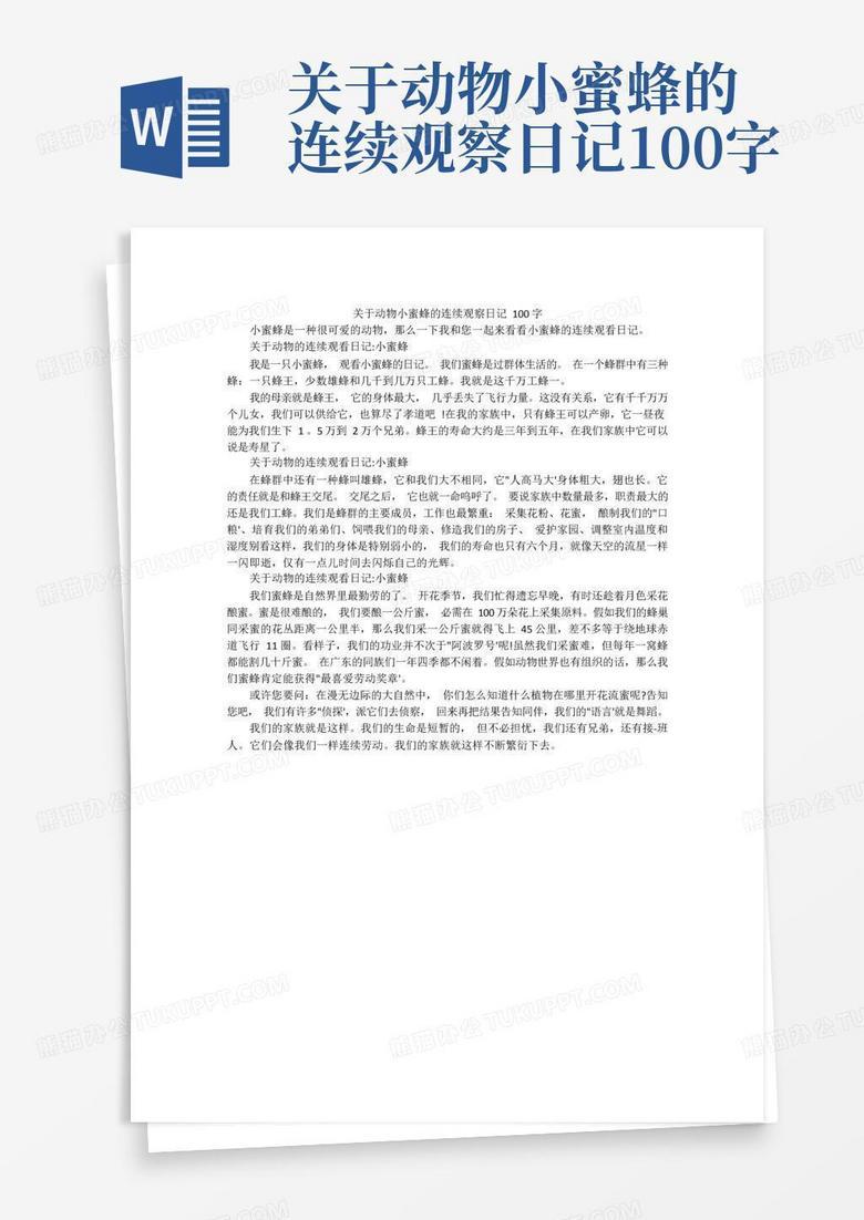 观察日记—小猫的早晨