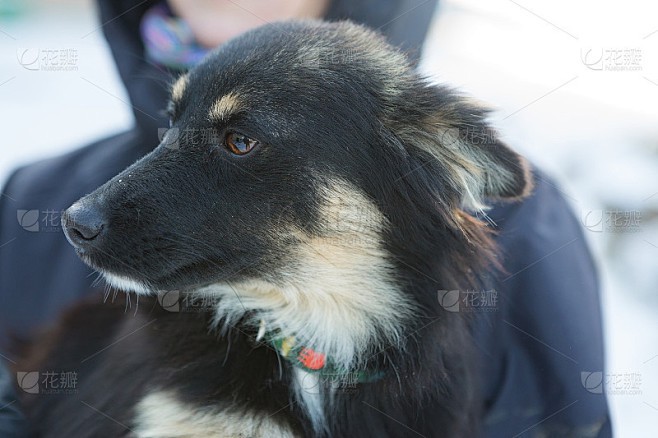 雨夜的尾巴，比阳光还暖！