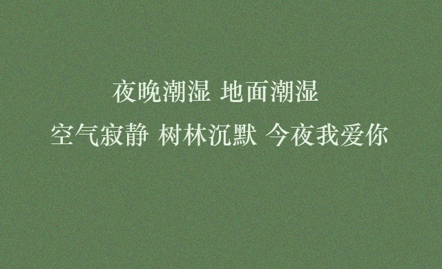 那些我曾对喜欢的人说过的话…