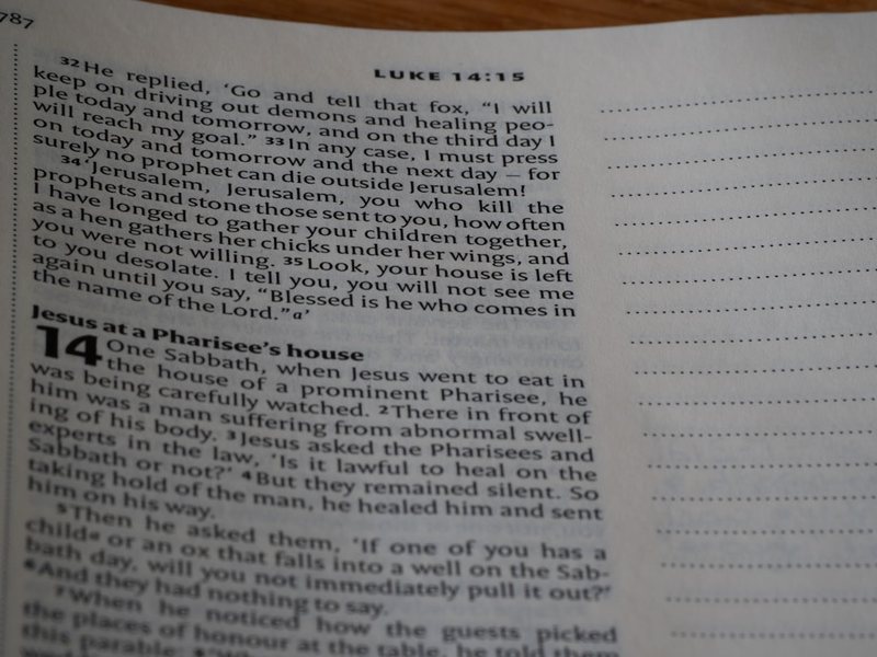 清明时节雨纷纷，思念在心间？