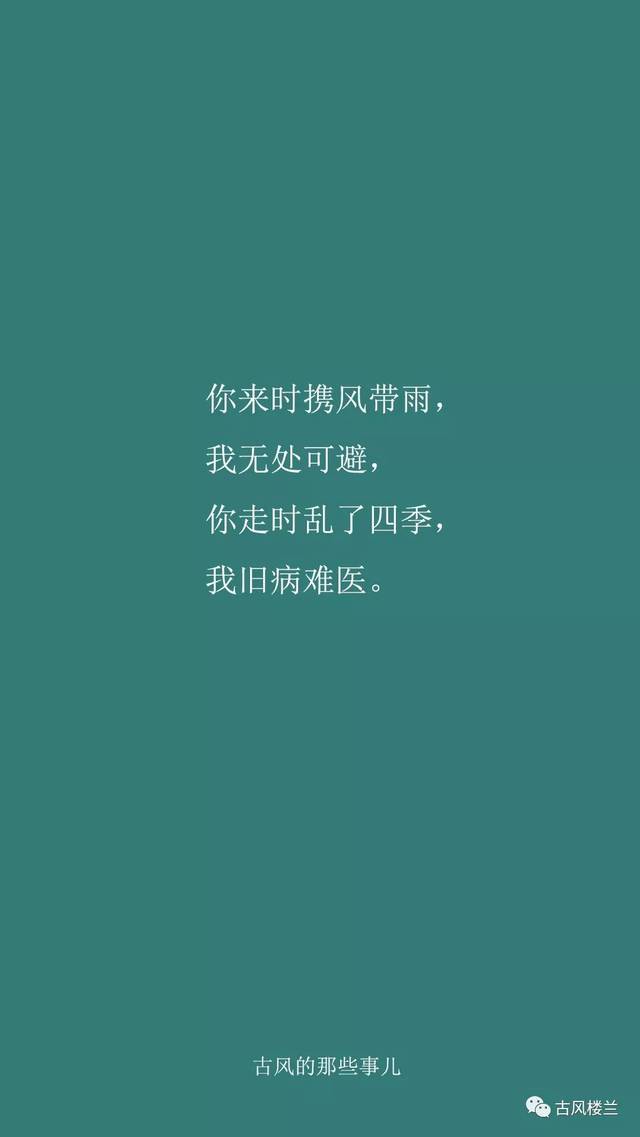 雨天的私语丨那些藏在雨丝里的温柔情话