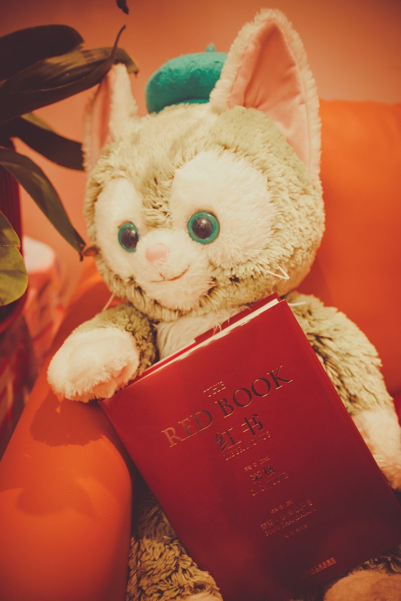 杨红樱的笑猫日记｜一扇通往童真的窗