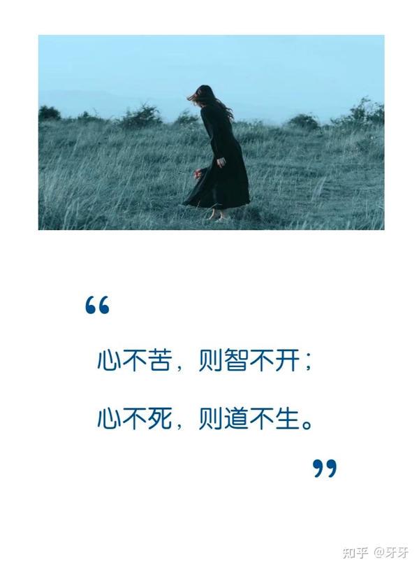 情话的回响|每一句都藏着爱的回声 情话的回响|每一句都藏着爱的回声